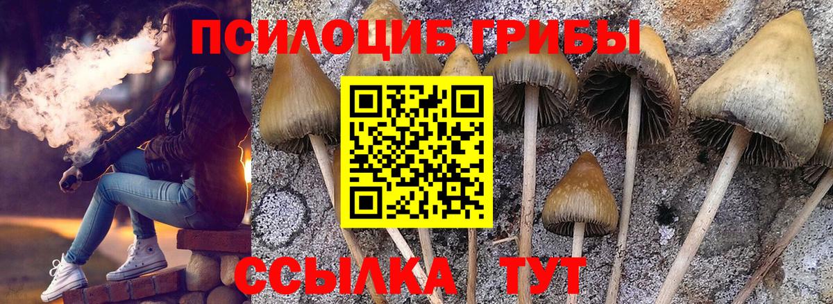 Псилоцибиновые грибы мухоморы Кириши