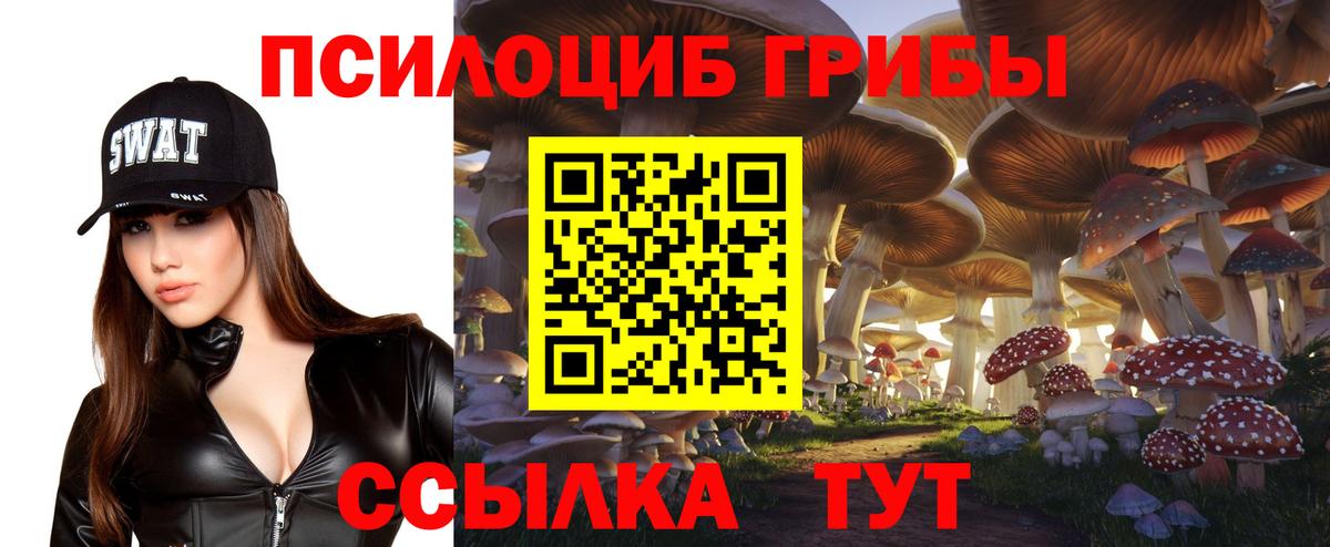 Галлюциногенные грибы прущие грибы  Вход с VPN  Галлюциногенные грибы Cubensis  Кириши 